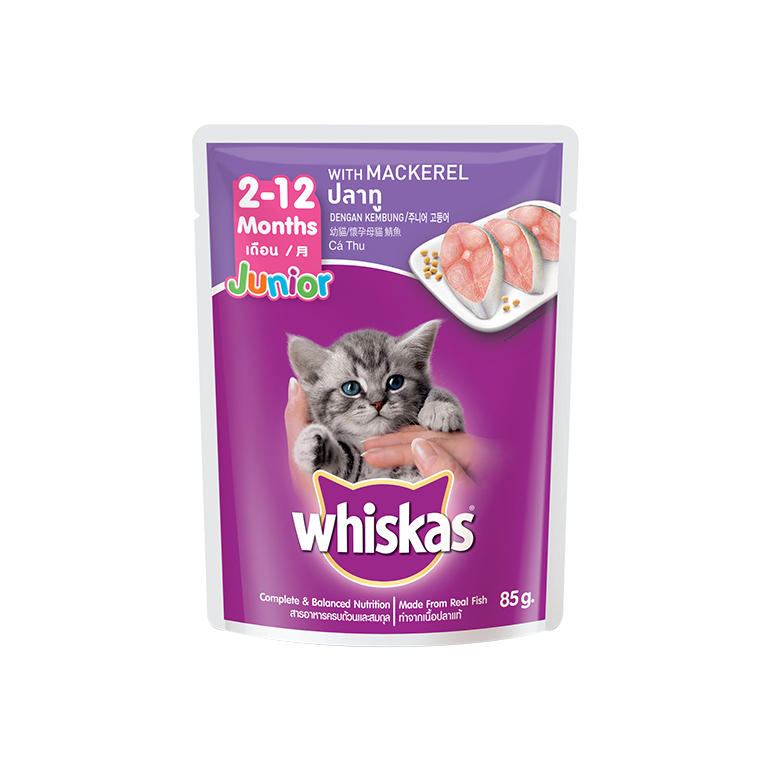 Whiskas | Junior Mackerel Wet Cat Food 80g