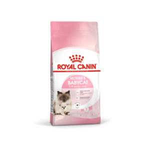 Royal Canin | Feline Health Nutrition Mother & Babycat Dry Cat Food 4kg