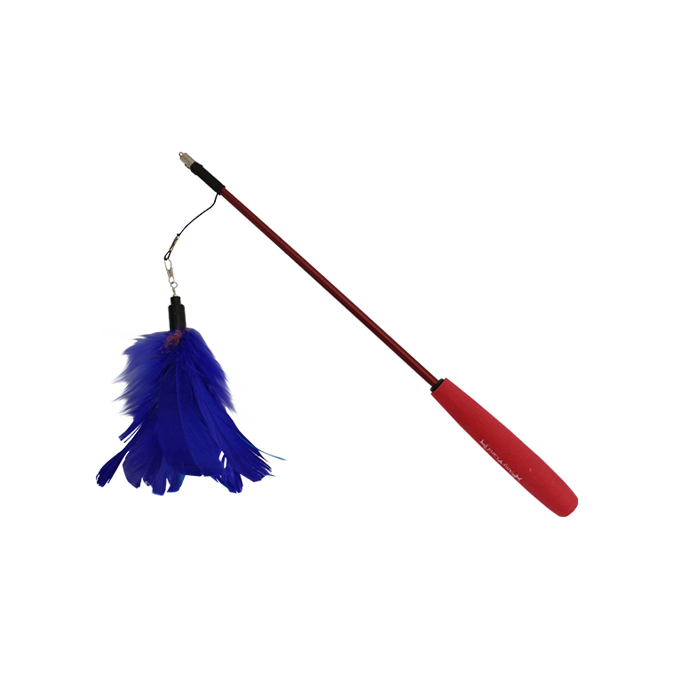 Amy N Carol | Elastic Stick Flower Cat Teaser