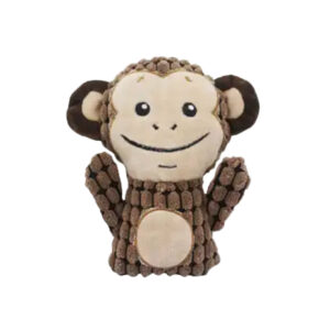 Amy N Carol | Animal World Monkey